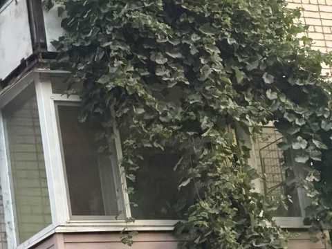 квартира по адресу Валерія Лобановського ул., 29