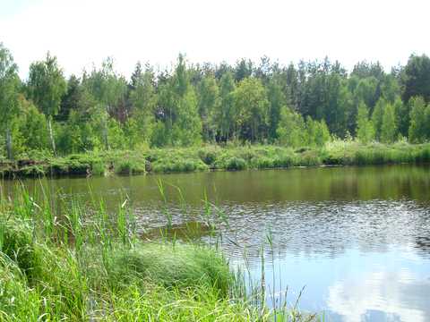 ділянка за адресою с. Миколаївка, 