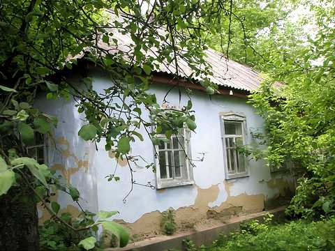 дом по адресу с. Мартыновка, Робітнича, 16