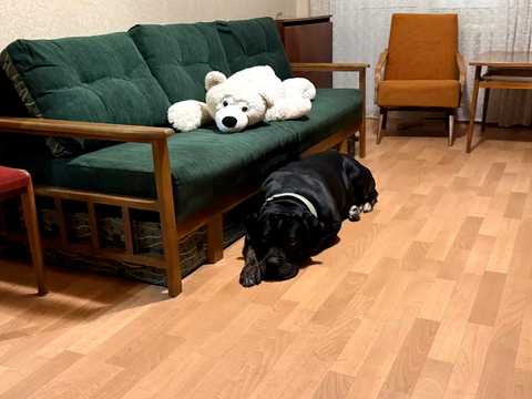 квартира за адресою Братиславська вул., 9-А