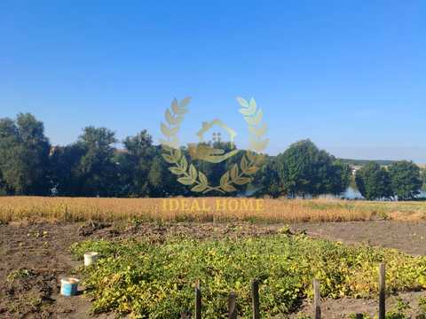 дом по адресу с. Дениховка, Колгоспна, 20