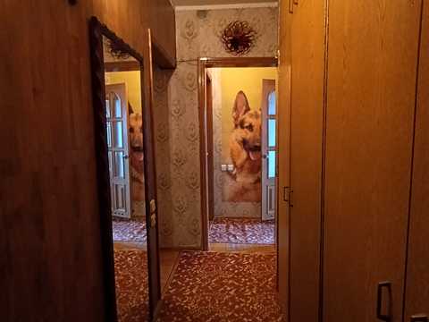 квартира за адресою Гарібальді вул., 1а