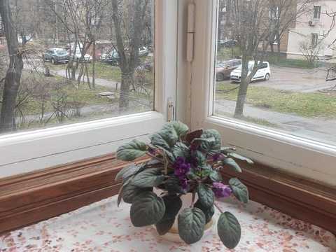 квартира по адресу Юрія Глушка ул. (Подвойського), 10