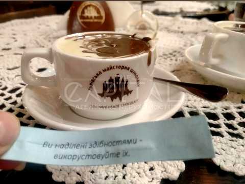 комерційна за адресою Тараса Шевченка бульв., 36