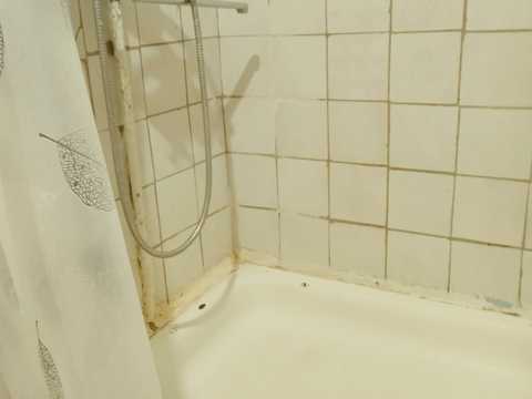 квартира по адресу Зоологическая ул., 2