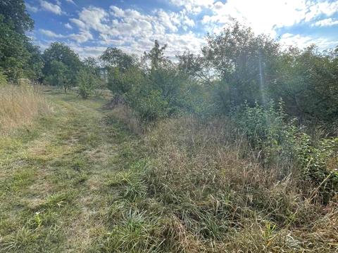 ділянка за адресою с. Байківці, 