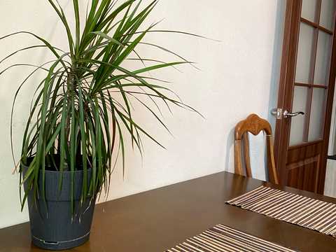 квартира по адресу Софии Русовой ул., 5-Б