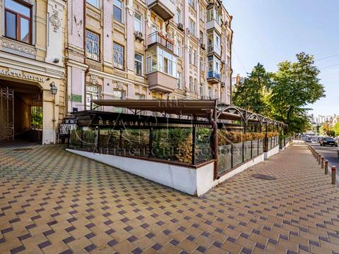 комерційна за адресою Гетьмана Павла Скоропадського вул. (Толстого), 43