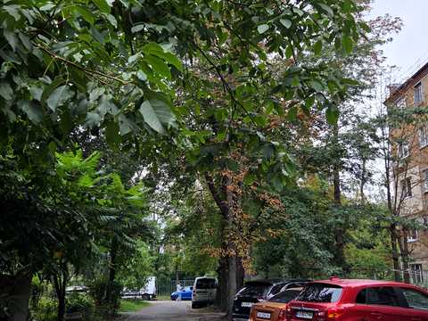 квартира по адресу Володимира Жаботинського ул. (Муромская), 17/20