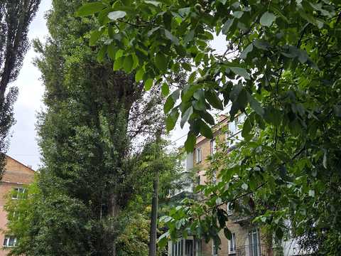 квартира по адресу Володимира Жаботинського ул. (Муромская), 17/20