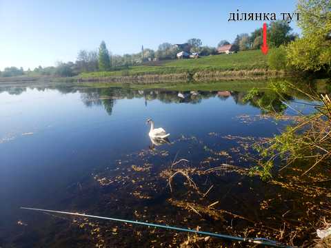 ділянка за адресою Джерельна