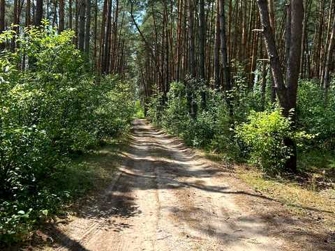 дом по адресу Голуби, 1