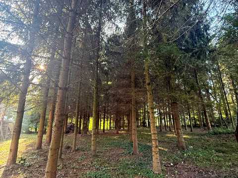 комерційна за адресою с. Красів, Шкільна вул., 1