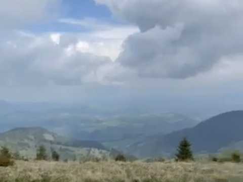 ділянка за адресою с. Голови, 