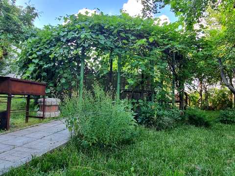 будинок за адресою смт. Новопокровка, ЛУГОВАЯ, 22