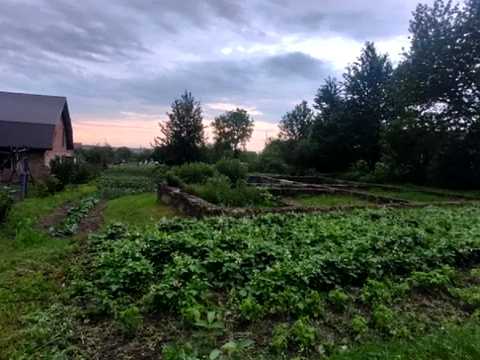 ділянка за адресою с. Страдч, Веселкова