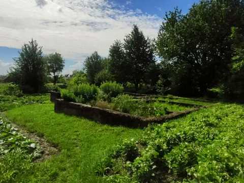 ділянка за адресою с. Страдч, Веселкова