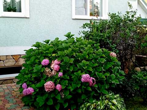 дом по адресу Архітектурний пер., 20