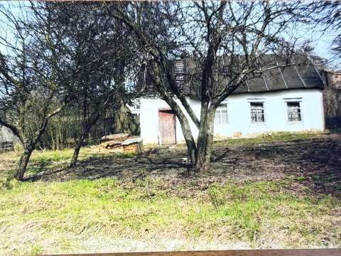 участок по адресу с. Плесецкое, зарічна вул., 24