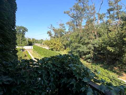 дом по адресу Чарівна