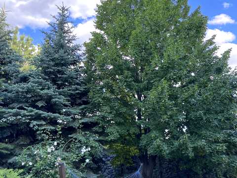 будинок за адресою Лесі Українки вул., 18