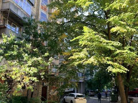 квартира за адресою Тараса Шевченка бульв., 38