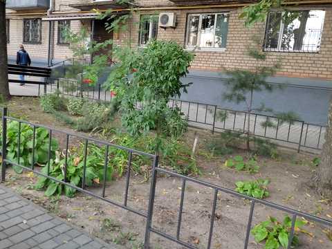 квартира по адресу Александра Поля ул., 109