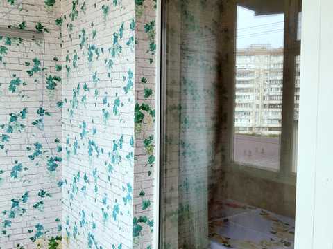 квартира по адресу Оноре де Бальзака ул., 89