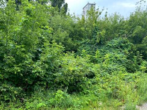 коммерческая по адресу Умань, Энергетическая ул., 18