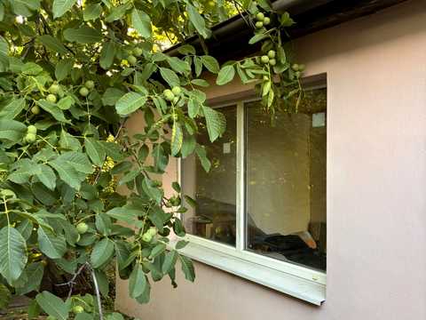 дом по адресу Горького, 72 