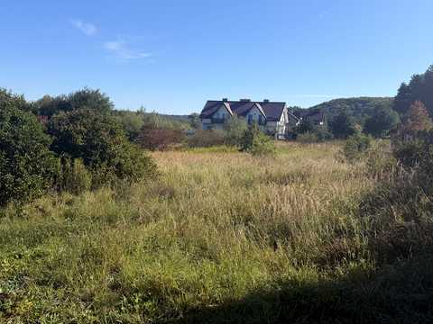 ділянка за адресою Заділ