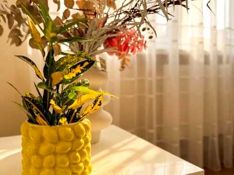 квартира за адресою Самійла Кішки вул. (Маршала Конєва), 5-Г