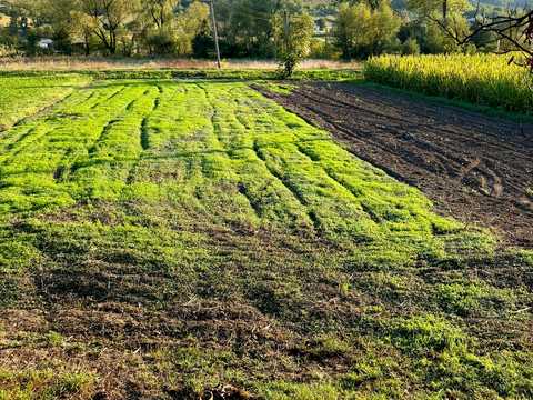 дом по адресу Марії Підгірянки