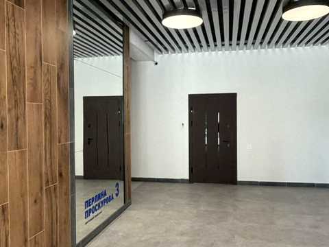 квартира по адресу Панаса Мирного ул., (Будинок)