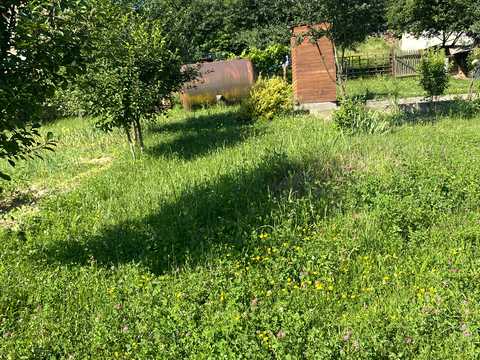 дом по адресу Шевченка