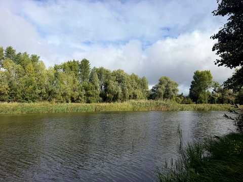 ділянка за адресою Храмова вул., 10