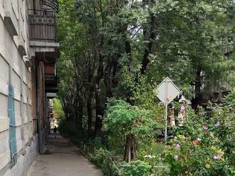 квартира за адресою Марка Вовчка вул., 16