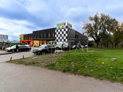 комерційна за адресою Гетьмана Павла Полуботка вул. (Попудренка), 9г