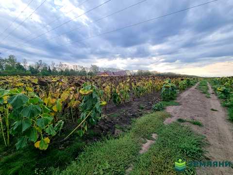 ділянка за адресою 