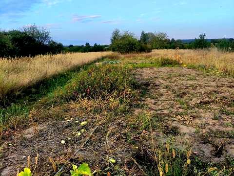 дом по адресу с. Каменка, Лісна