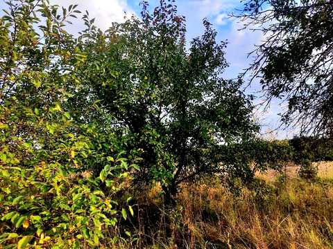 дом по адресу с. Каменка, Лісна