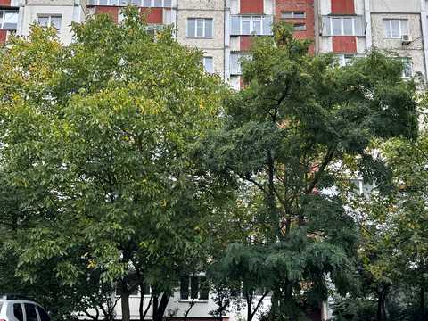квартира за адресою Молодіжна вул., 52