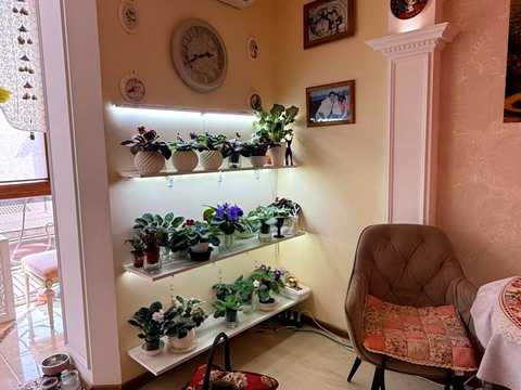 квартира за адресою Таїрова вул., 6