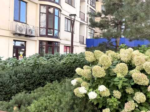 квартира по адресу Фонтанская дорога ул. (Перекопской дивизии улица), 124