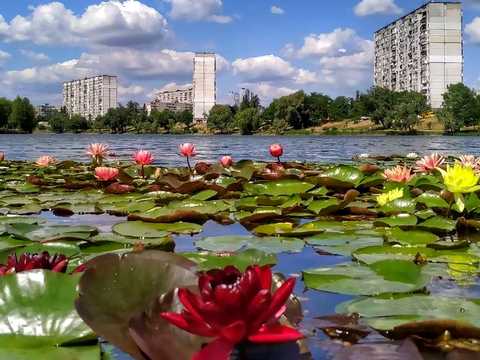 квартира за адресою Юрія Шумського вул., 5