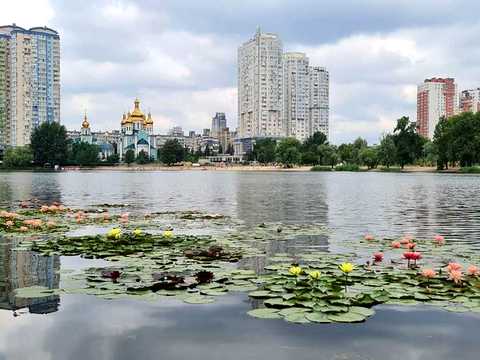 квартира за адресою Юрія Шумського вул., 5