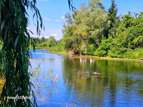 будинок за адресою Соснова вул.
