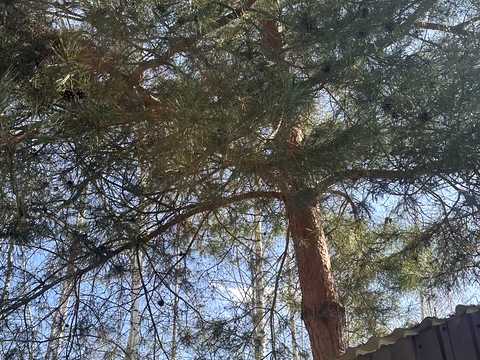 будинок за адресою с-ще. Славне, Тиха вул., 18