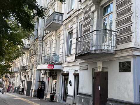 комерційна за адресою Євгена Чикаленка вул. (Пушкінська), 8