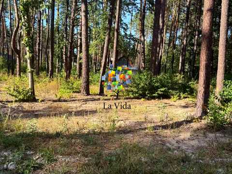 участок по адресу Лесной пер.